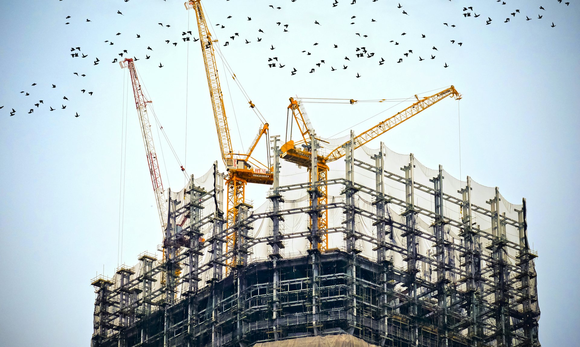 Construction site with cranes