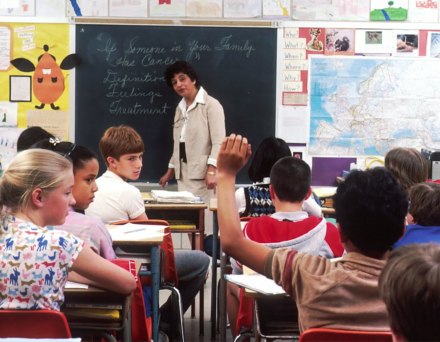 Expert teachers